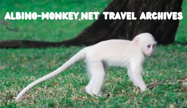 Albino-Monkey.net Travel Archives