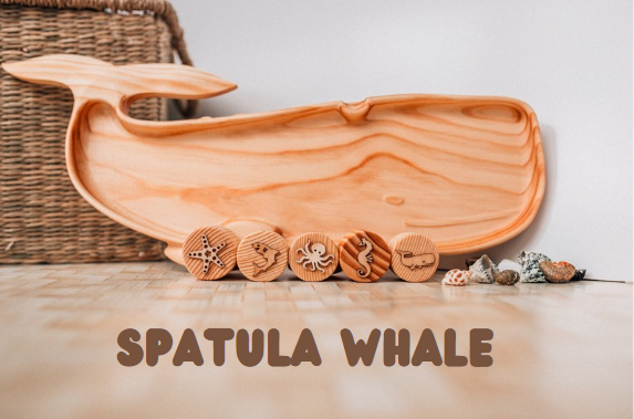 Spatula Whale